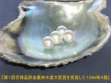 第1回花珠真珠品評会 農林水産大臣賞を受賞した10ミリ珠の写真